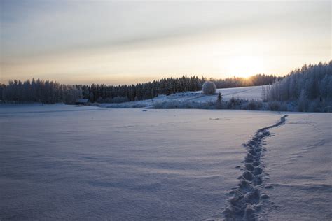 pano kuvia|Ilmaisia kuvia Suomesta